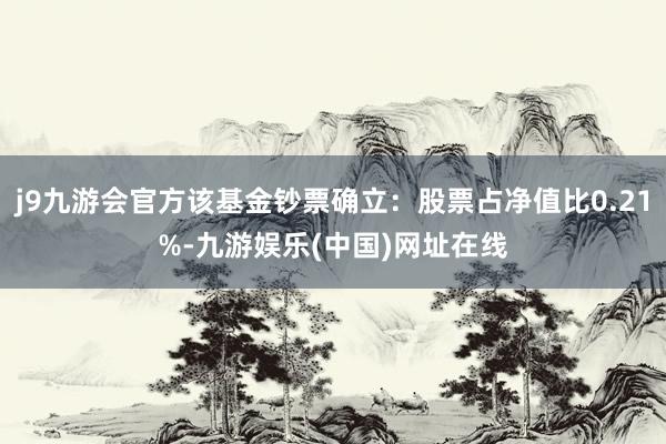 j9九游会官方该基金钞票确立：股票占净值比0.21%-九游娱乐(中国)网址在线