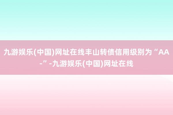 九游娱乐(中国)网址在线丰山转债信用级别为“AA-”-九游娱乐(中国)网址在线